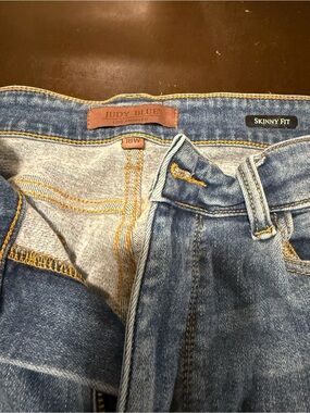 Judy Blue Blue Skinny Fit Jeans 18w